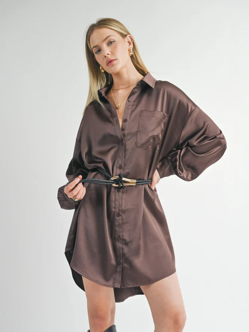 Flawless Oversized Shirt Dress Sage the Label